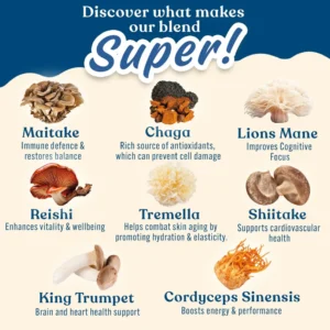 Applied Nutrition Mushroom Superblend Powder 160g - Image 2